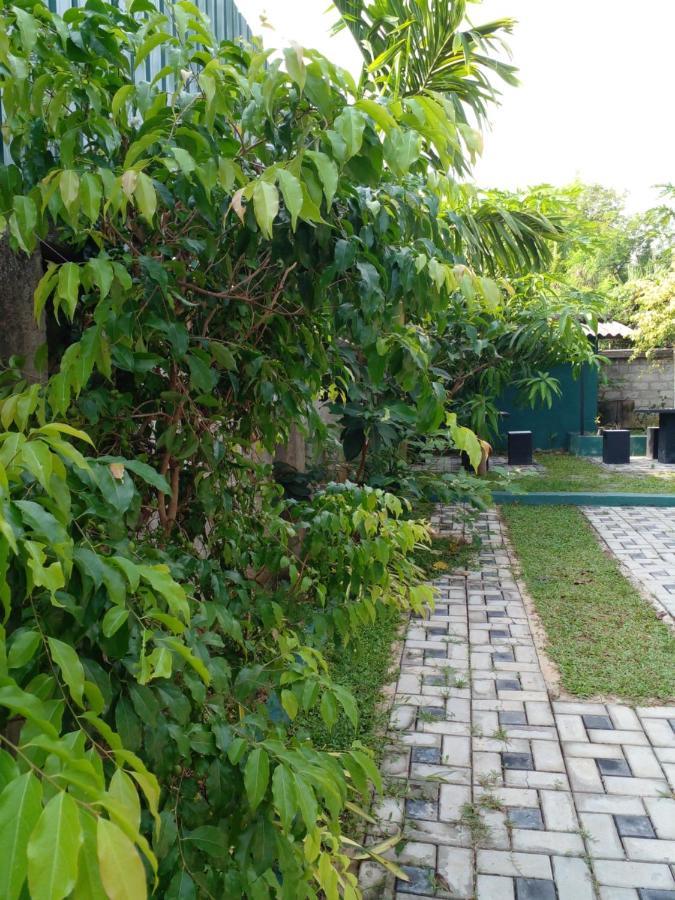 Thomasha Homestay Wellawaya Exteriér fotografie