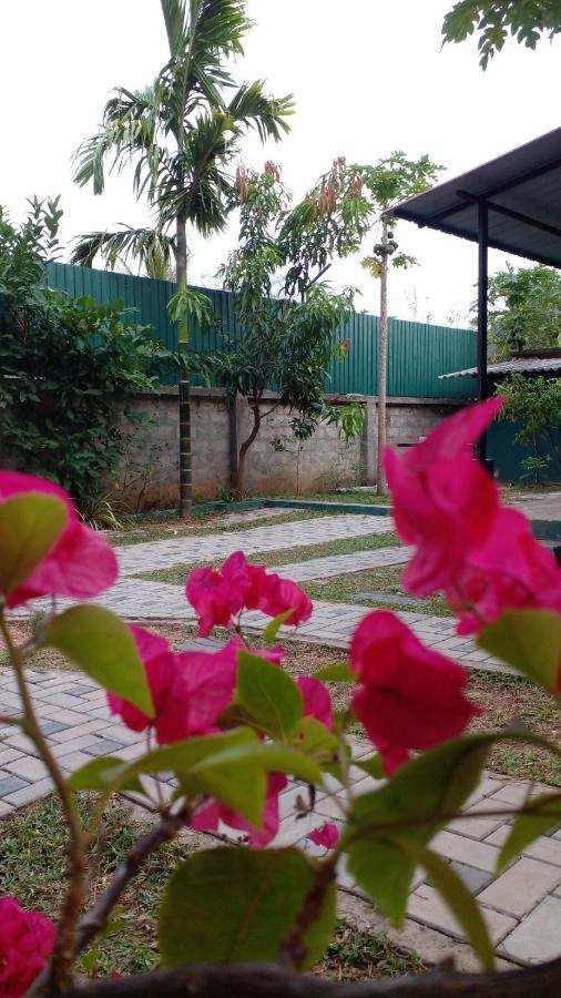 Thomasha Homestay Wellawaya Exteriér fotografie